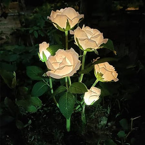 Solar Lights 6 Champagne Rose Lights