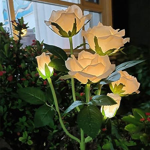 Solar Lights 6 Champagne Rose Lights