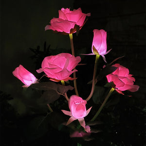 Solar Lights 6 Champagne Rose Lights