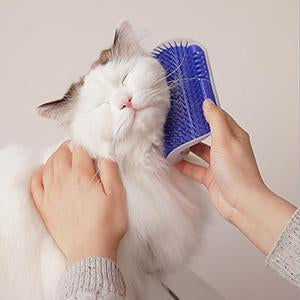 Cat Self Groomer