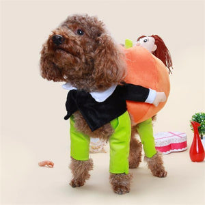 Dog Fashion Pumpkin Costume