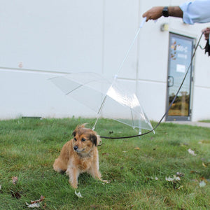 Pet Dog Umbrella