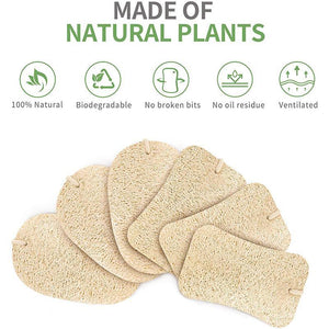 Practical Natural Cleaning Sponge(5PCS)