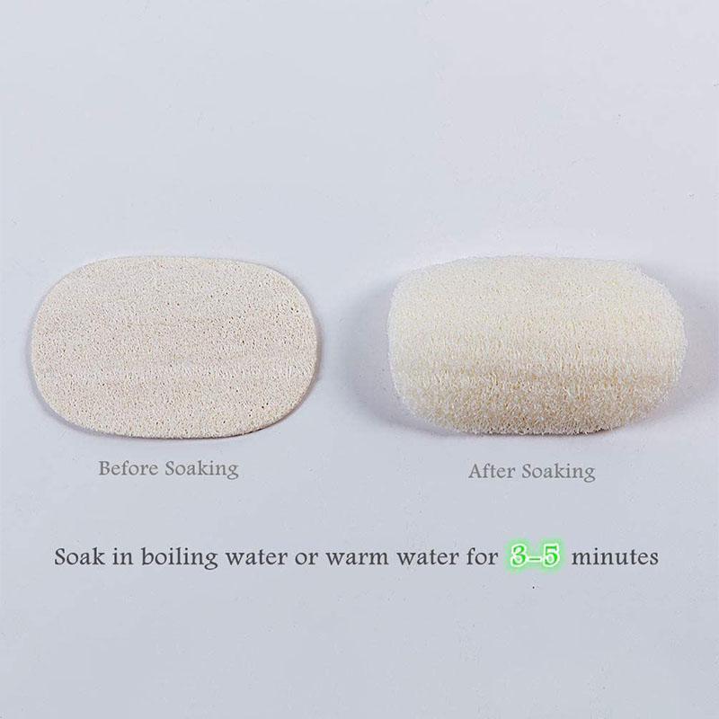 Practical Natural Cleaning Sponge(5PCS)