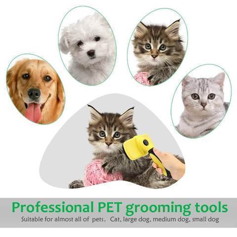 Pet Grooming Brush