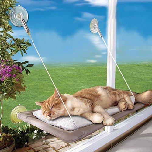 Cat Hammock