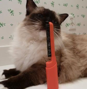 Pet Hair Brush