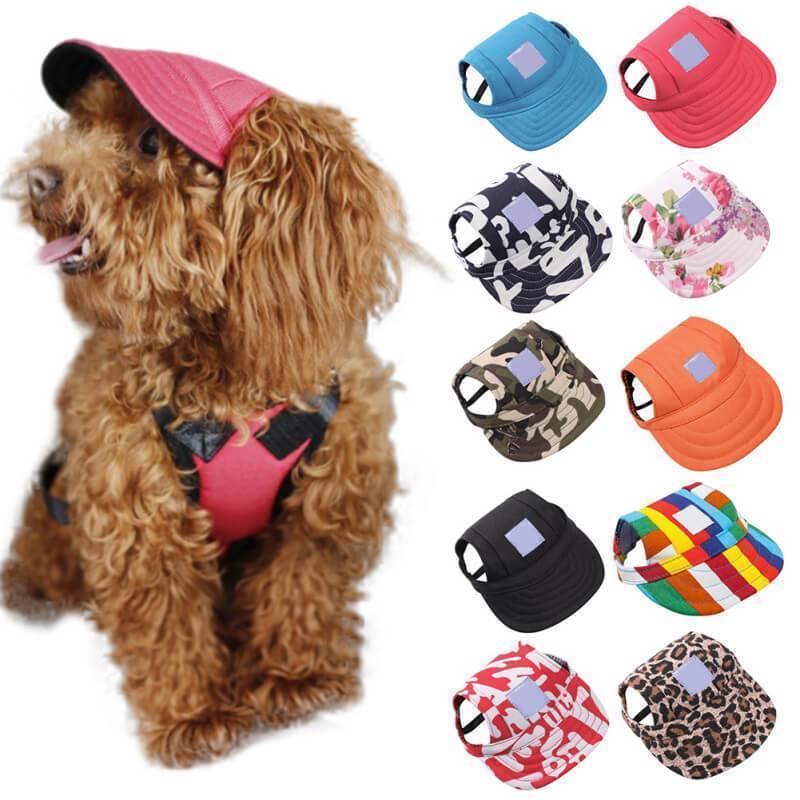 Fashion Pet Hat