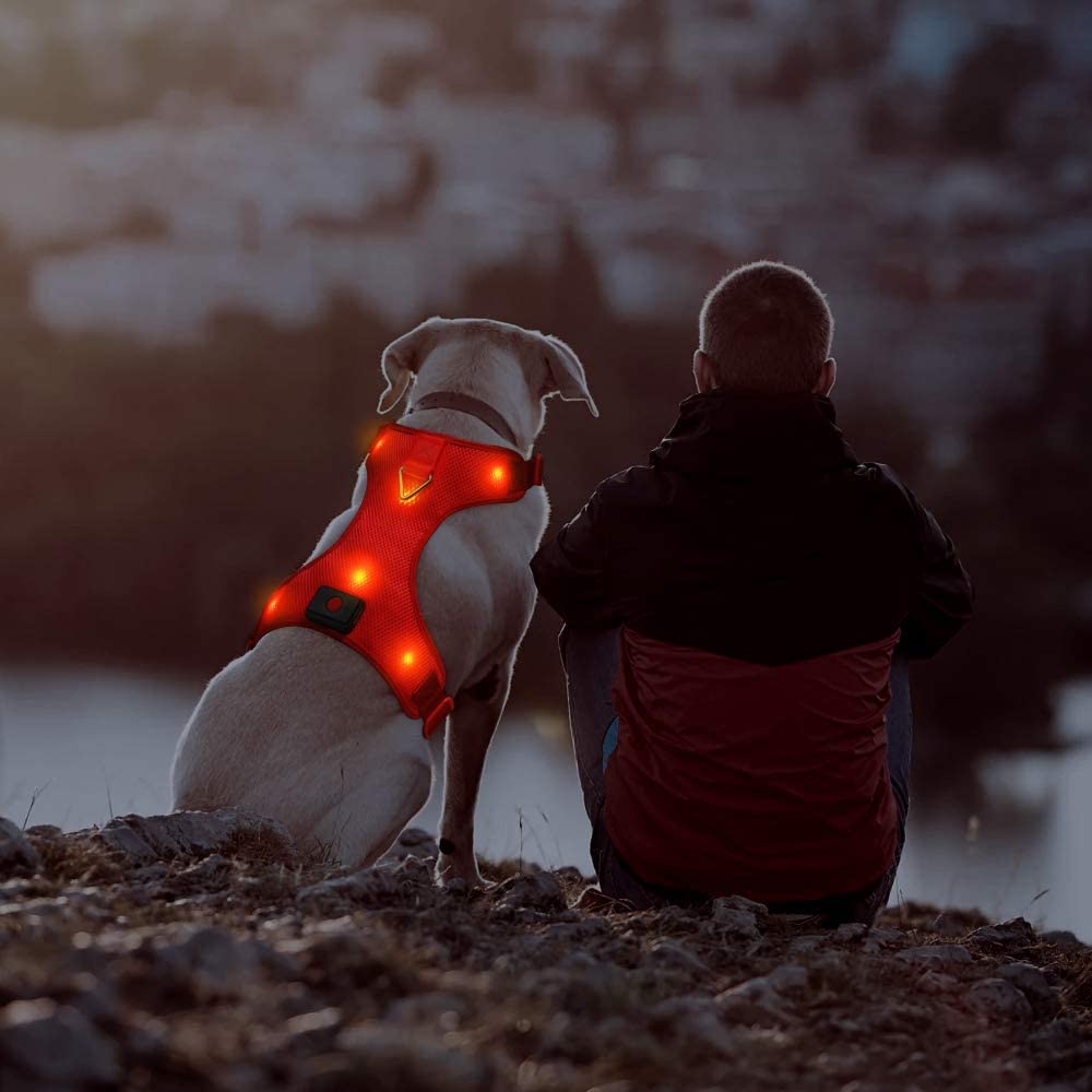 Domi LED Dog Harness