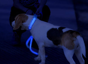 Led Dog Collar