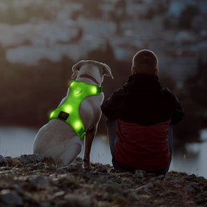 Domi LED Dog Harness