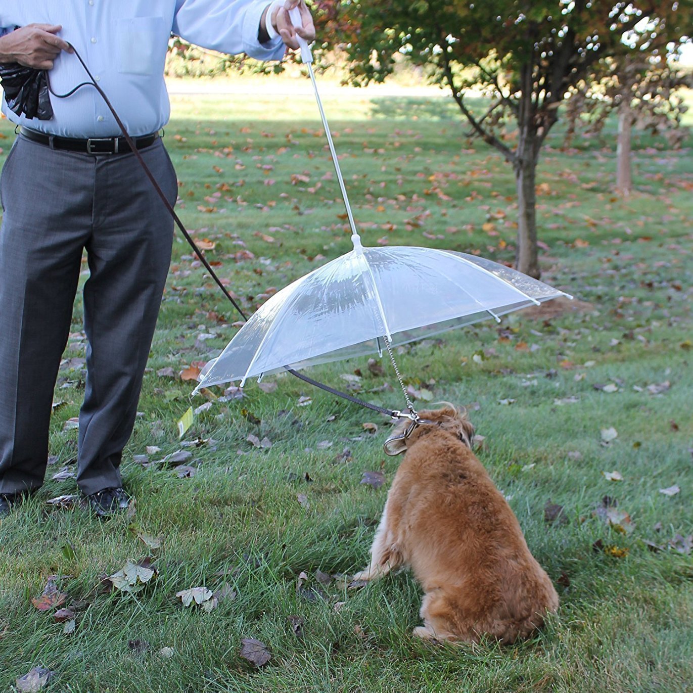 Pet Dog Umbrella