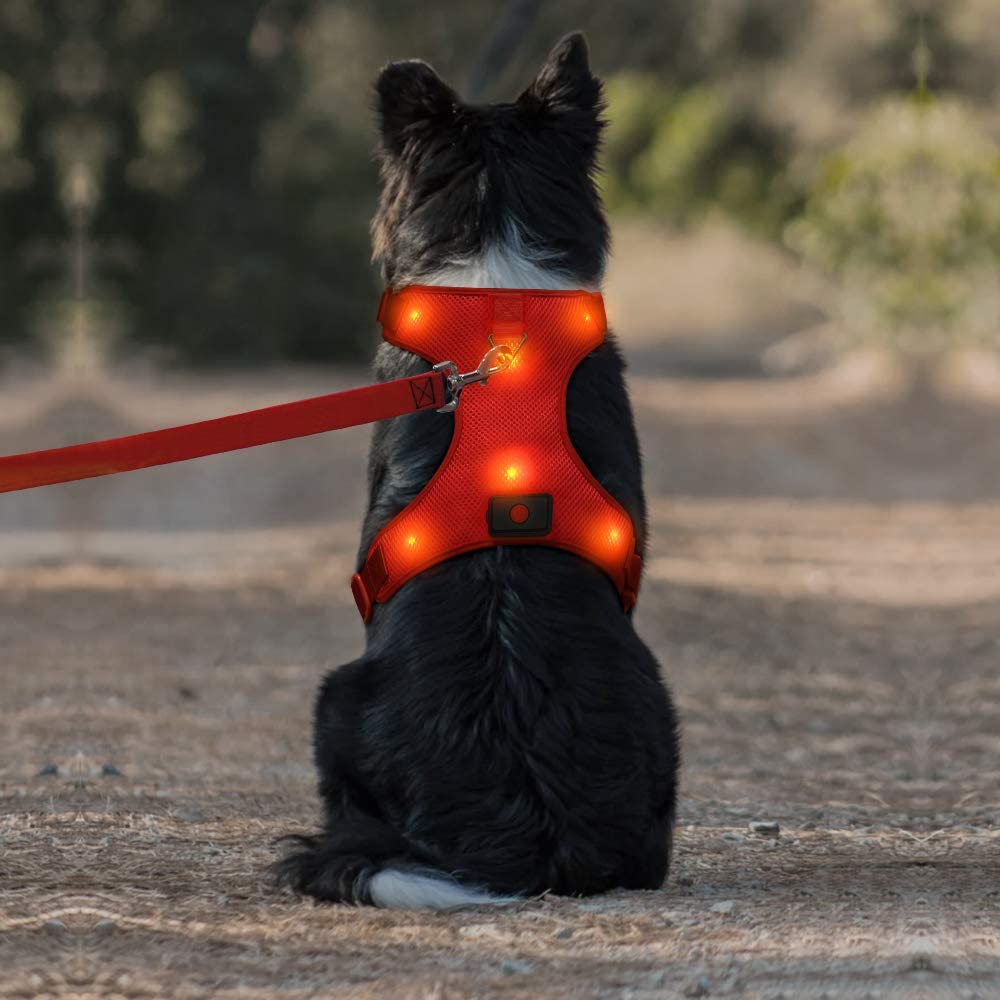 Domi LED Dog Harness