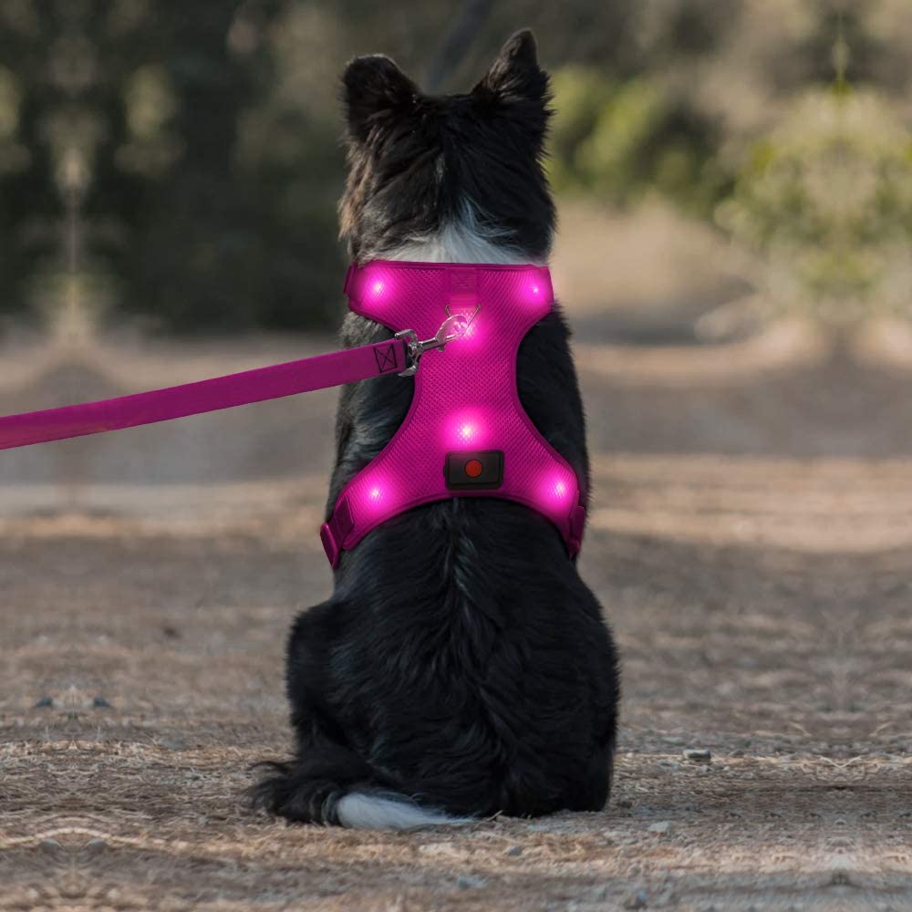 Domi LED Dog Harness