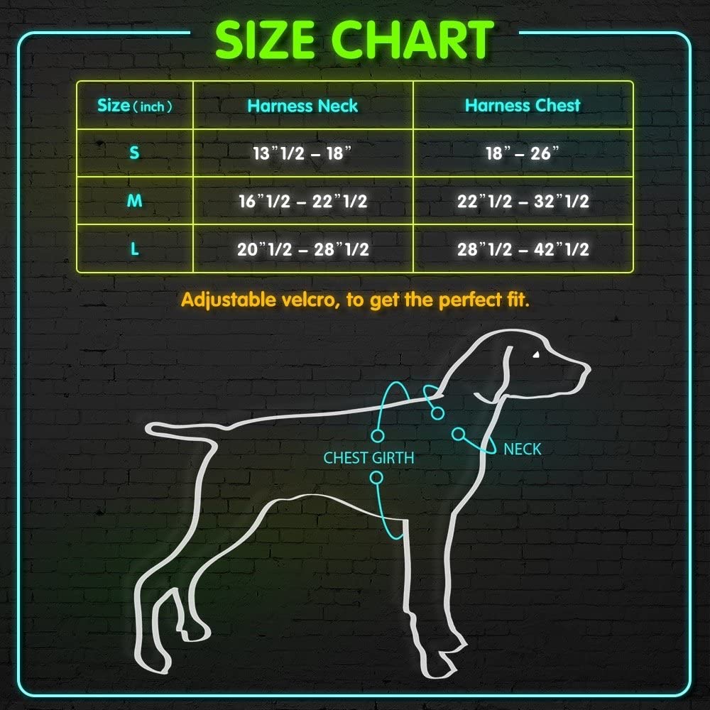 Domi LED Dog Harness