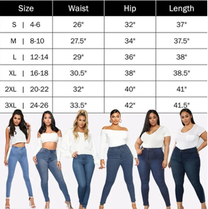 Margot Perfect Fit Skinny Stretch Pull-On Push-Up Plus-Size Denim Jeans Leggings