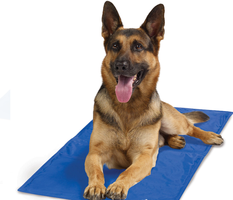 Pet Cooling Mat