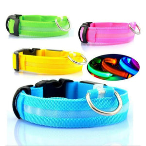 Led Dog Collar