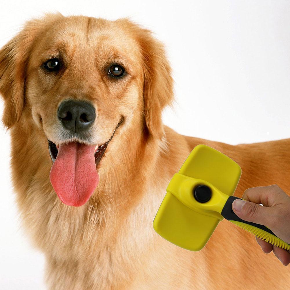 Pet Grooming Brush